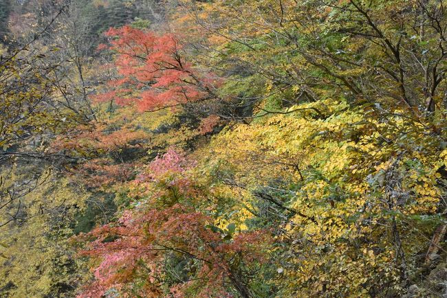 美しい彩りの紅葉<br />