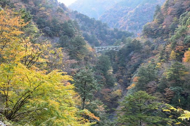 Ｖ字谷の寸又峡に架かる飛龍橋<br />