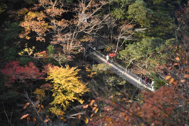 色づく紅葉に埋もれる「夢の吊橋」<br />