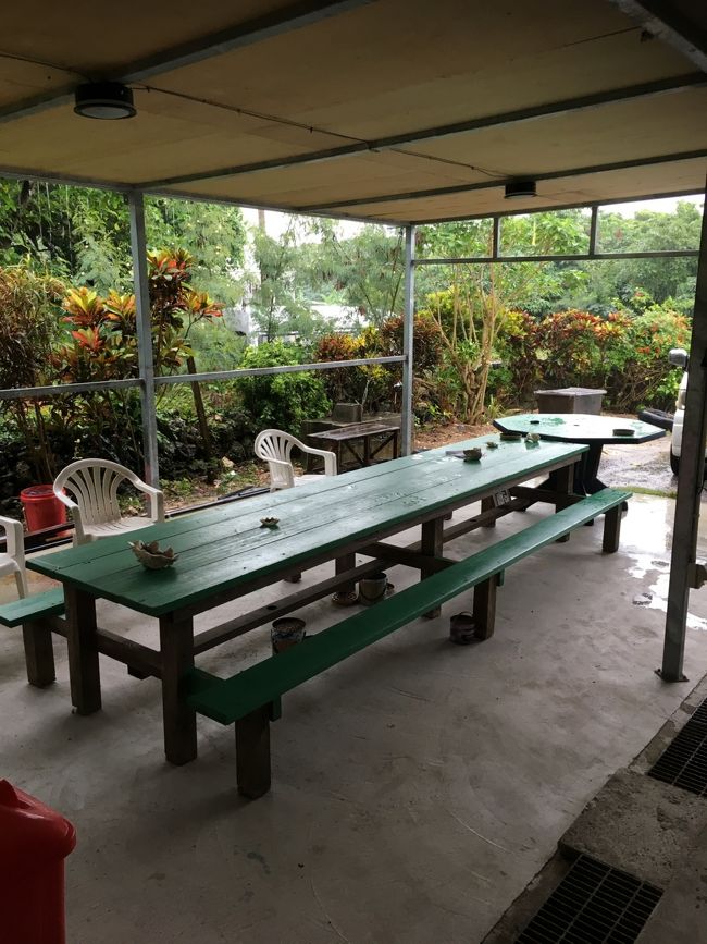 3人で雨の中わぁわぁ言いながら<br />島を一周ドライブし宿に戻ってきました。<br /><br />さぁ、これからが本番の「ゆんたくターイム」<br />地元の話しとか、どうでもいい話(笑)とかで<br />大盛り上がり！！<br />結局夜中の2時まで飲んで食べて喋ってました<br /><br /><br />もうねー天気とか明日の事とか、そんなん<br />どーでもよくなってきた(笑)<br />今が楽しけりゃ、それでいいさー<br /><br /><br /><br />あ～！かりゆし、かりゆし<br /><br /><br />そんな感じでディープな黒島の夜は<br />更けて行きました…。<br />(1日目終わり)<br />