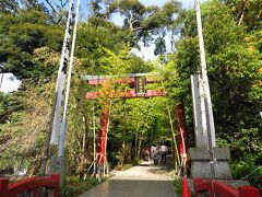 「伊豆國霊社　熱海　来宮神社」

鳥居をくぐると。。。明るいオーラに導かれます。。。