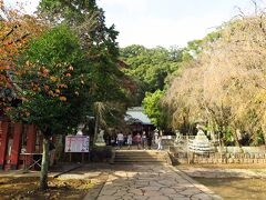 続いては。。。「伊豆山神社」です。

伊豆の地名の発祥地となった神社です。