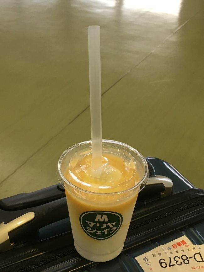 ☆最終日☆<br /><br />もう帰る日、ただそれだけの日<br /><br />マンゴーシェイク飲んでー<br />              ↓↓↓   