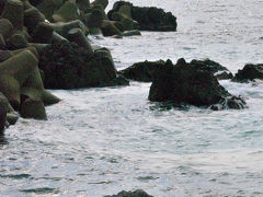 山中温泉で連泊
朝食を抜きお腹をすかして、越前海岸へ向かいます