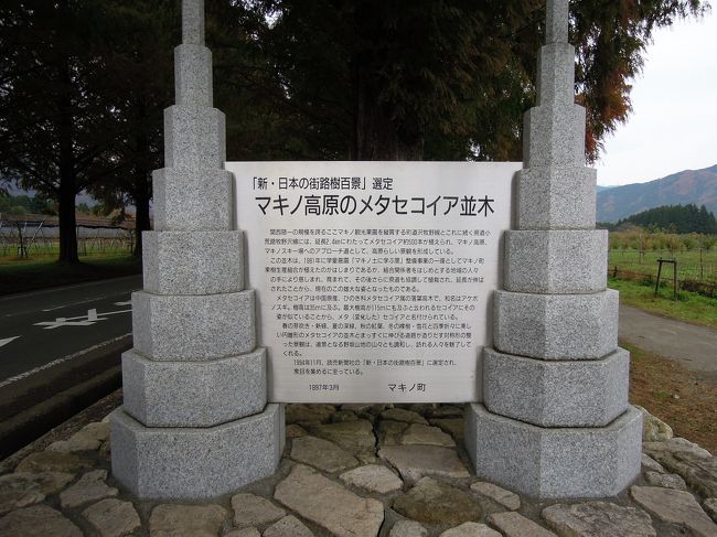 夫と息子と巡る鮮やかな秋色の近江路 鶏足寺 メタセコイア並木道 白髭神社 ラ コリーナ近江八幡 永源寺 長浜 滋賀県 の旅行記 ブログ By Comodoさん フォートラベル