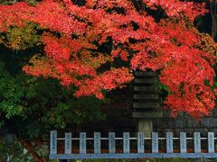 7：30　寂光院（じゃっこういん）

織田信長ゆかりの古刹、別名「尾張の紅葉寺」


拝観料　無料
駐車場　紅葉時期のみ500円（8：00～）
※近くに無料P有り