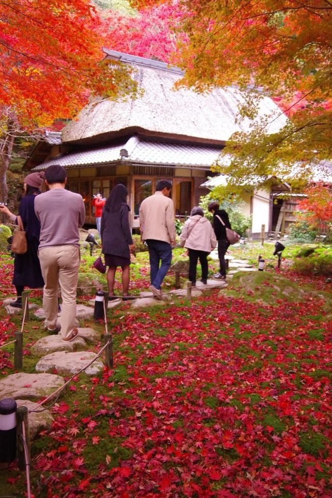 去年とは違う滋賀県の紅葉の魅力に酔いしれる Part Ii 鶏足寺 教林坊編 近江八幡 安土 滋賀県 の旅行記 ブログ By Juniper Breezeさん フォートラベル 去年とは違う滋賀県の紅葉の魅力に酔いしれる Part Ii 鶏足寺 教林坊編 近江八幡 安土 滋賀県 の旅行記 ブログ By Juniper Breezeさん フォートラベル