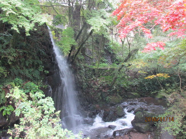 湯河原の1日 7 万葉公園 湯河原温泉 神奈川県 の旅行記 ブログ By ちゃおさん フォートラベル 湯河原の1日 7 万葉公園 湯河原温泉 神奈川県 の旅行記 ブログ By ちゃおさん フォートラベル