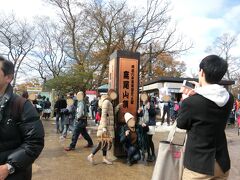 頂上も足元が溶けた雪でびしょ濡れなので、
シートも敷けずベンチは座る余地なしです。

この「高尾山頂」のスポットで撮影したい人続出で
帰る頃は順番待ちの列ができていましたよ。

やっぱり今日も、富士山は雲の中。