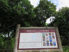 車で更に石垣島北西部に進むと、「名蔵アンパル」と書かれた所が見えてきました・・