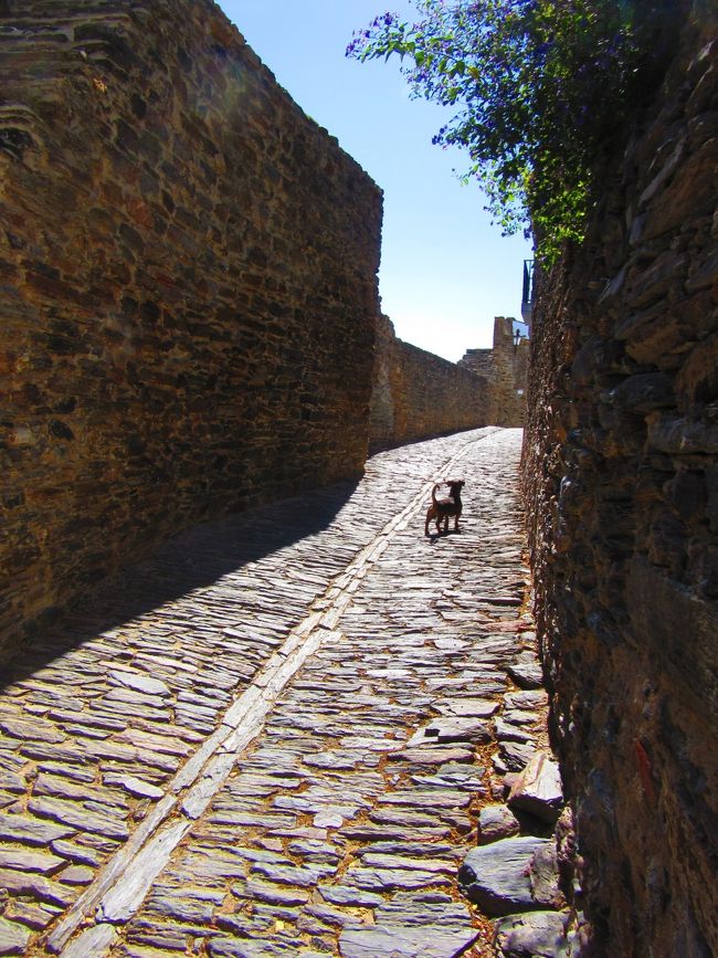 とりあえず、村を一周してみましょう♪<br />ワンコが案内してくれるみたいっ。<br />付いていきます！！