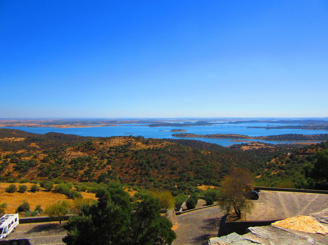 見晴らし最高です。池があるー！