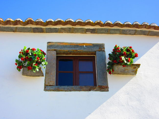 白い壁とお花が素敵ー！