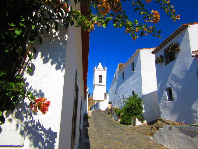 真っ青な空、真っ白な壁、絵になるな～