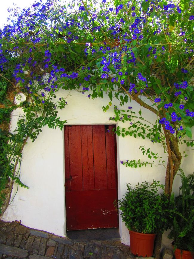 お花がいい味出してますね～