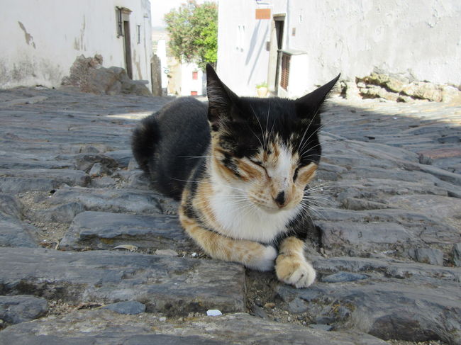 小さな村だから良く行き合うね♪<br />