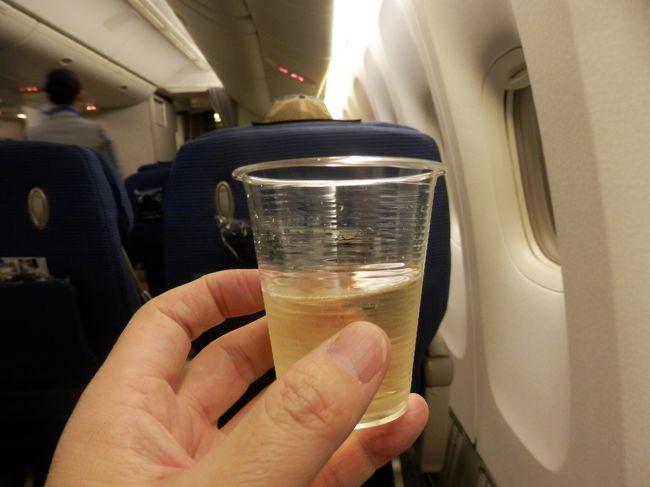 ペコンペコンのカップでシャンパン頂きましたが、このペコンペコンじゃシャンパン！？って感じでは無いですね。<br />花見で飲むチュウハイ？