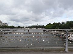 レオポール セダール サンゴール橋 (ソルフェリーノ橋)