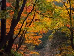 「香積寺」の門の先はこんな景色が広がってました！　綺麗！！