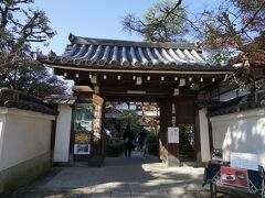 2013年春のJR東海の「そうだ京都、行こう。」キャンペーンで注目を浴びた退蔵院ですが紅葉の時期も素敵です。