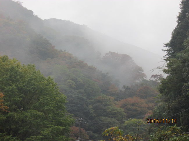 DSC_0732-520x300.jpg
