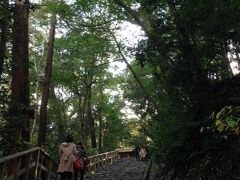 風宮、土宮をお参りして多賀宮へ。
ひー…階段…汗だく…！