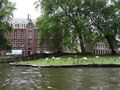 「 ベギン会修道院 」 と、白鳥