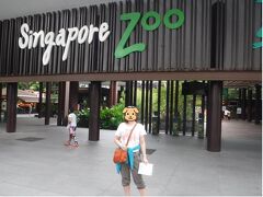 そんなこんなありながら、ようやく到着したのは【シンガポール動物園】
ナイトサファリにするか迷ったけど、ちょっとスケジュール組むのが難しかったのと、夜はあんまり動物が見えない、とのことで、今回は昼間の動物園。