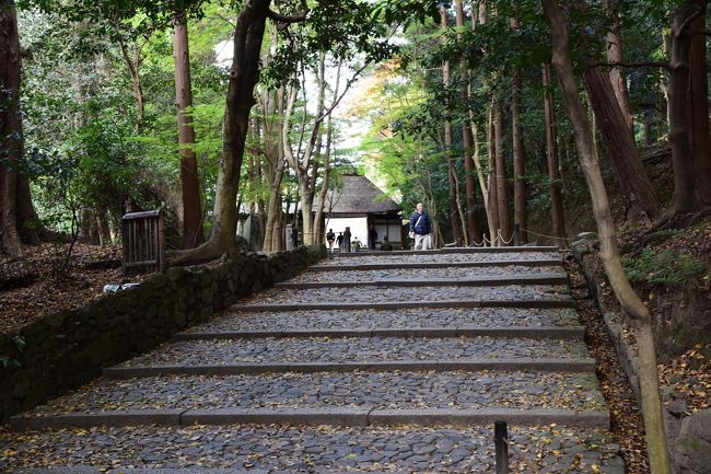 2016 京の紅葉散歩 法然院』東山・祇園・北白川(京都)の旅行記