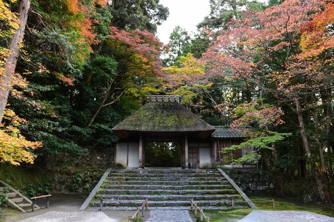 京都法然院歳時記 京都法然院歳時記