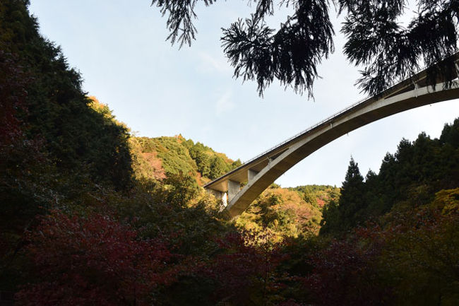 自転車でgo 16 11 須津川渓谷に行って来ました 1 富士 静岡県 の旅行記 ブログ By てんとう虫さん フォートラベル
