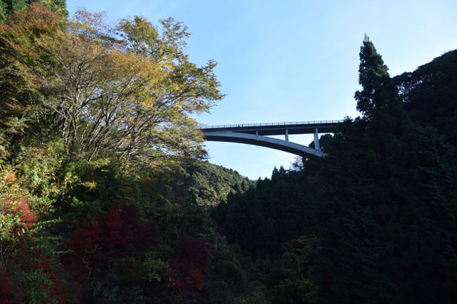 自転車でgo 16 11 須津川渓谷に行って来ました 1 富士 静岡県 の旅行記 ブログ By てんとう虫さん フォートラベル 自転車でgo 16 11 須津川渓谷に行って来ました 1 富士 静岡県 の旅行記 ブログ By てんとう虫さん フォートラベル