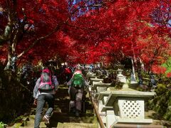 大山寺の階段下に到着