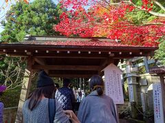阿夫利神社下社を参拝した後、お水もいただいたしお天気も良く
富士山が見られるのではないかと思い富士見台に向いました

紅葉も綺麗です