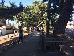 「神の道」

三保の松原から御穂神社へ続く松並木の一本道