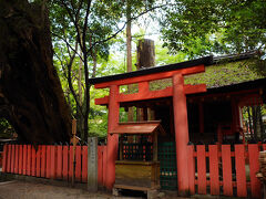 そして行き当たったのが水谷神社。
何度か春日大社に来ているが、ここに来たのは初めて。
由緒も何も知らずに来てしまった。
幕末までは、祇園精舎の守護神牛頭大王を祀っていたらしいが、今は、素盞鳴命・大巳貴命・奇稲田姫というありふれた方々。
まあ、病気平癒に霊験があるというので、ここはしっかりお詣りを。
社殿の向かいには、子授石なるものもあった。