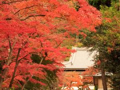 13：00に北鎌倉の駅に到着
行先を決めないで来ましたが、まずは定番の円覚寺へ