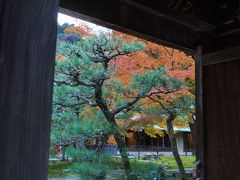 建長寺に向かう途中、毎年この時期訪れている長寿寺。
今やもう穴場ではなく、ガッツリ拝観待ちの人の行列が・・・


（写真は建長寺からの帰りに撮ったものです）