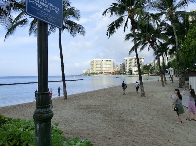 ビーチは雨あがりで、濡れていたので、砂浜は<br />歩かずに見るだけ。