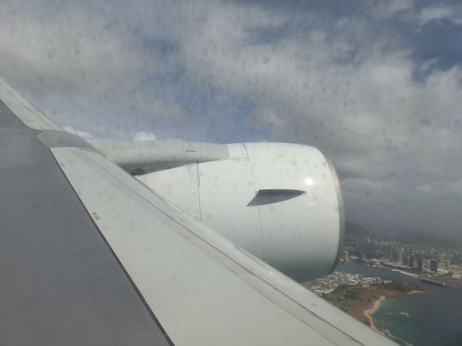 窓の向こうにワイキキのビル群が見えます。