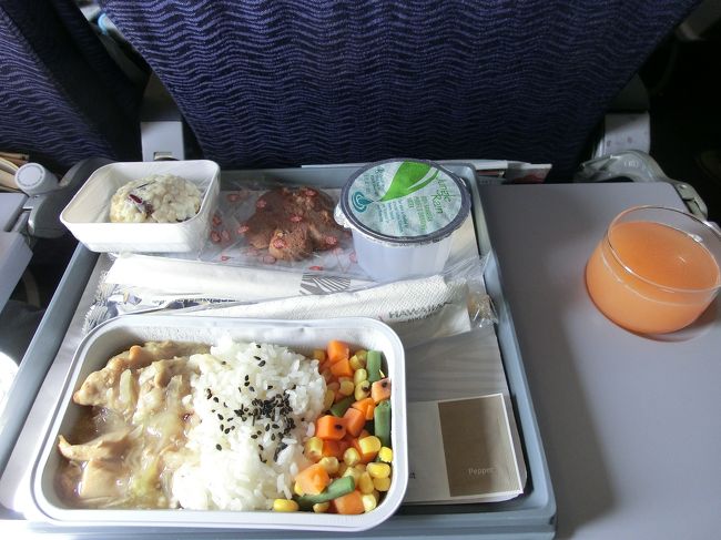 チキンとライスとサラダ。。。ん～微妙。<br />お隣の家族は空港で済ませてきたようで、食べていません<br />でした。<br /><br />次回からはそうしようかな～。