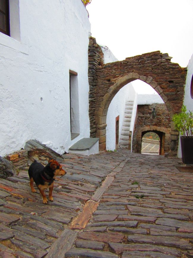 おはよー！<br />モンサラーシュ最後の日…<br />朝食前にお散歩です。