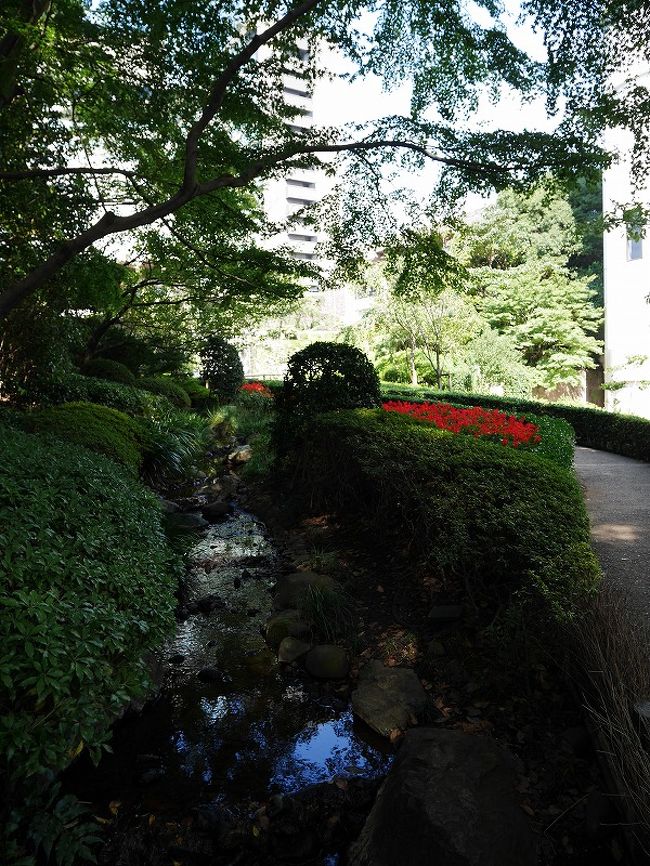 東京 ホテルニューオータニ東京 日本庭園へ行ってみた 東京の旅行記 ブログ By Sagres さん フォートラベル 東京 ホテルニューオータニ東京 日本庭園へ行ってみた 東京の旅行記 ブログ By Sagres さん フォートラベル