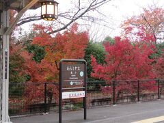 阪急嵐山駅
向かいのホームはだーれもいませんが、こちら側はあふれんばかりの人・人・・
（撮っていないので、説得力ありませんね(笑)）
紅葉を締めくくりに見て、この日は引き上げたのです。