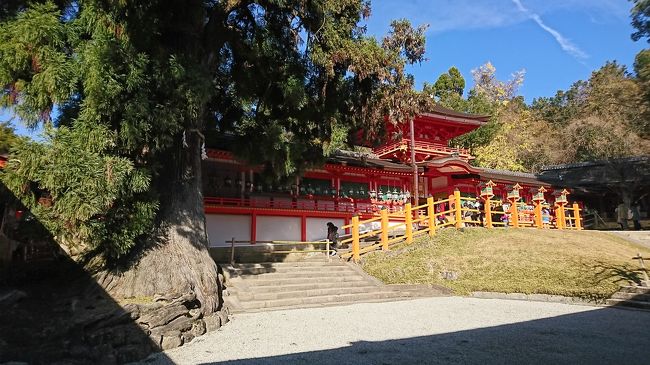 春日大社の本殿を遠目から。