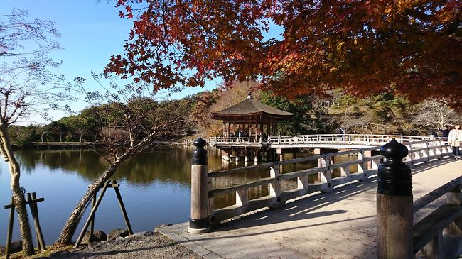 お、これは浮見堂。前回見られなかったんだよなー。<br />1本だけ残った紅葉が良い感じ。天気も良いし、結婚式の前撮りをしてるカップルが2組ほど。