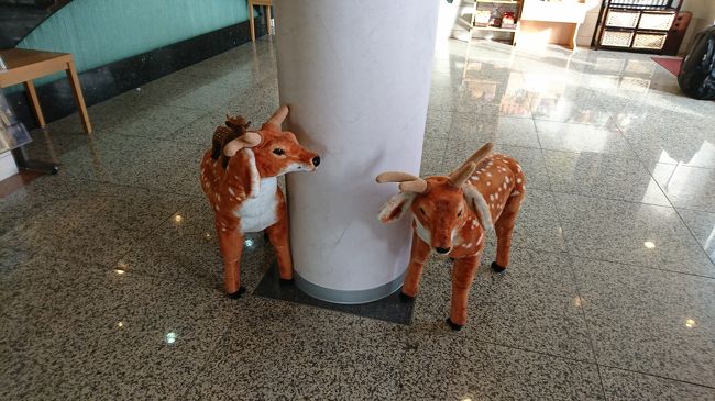 ホテルに付きました。玄関では小鹿ちゃんが迎えてくれます。JR奈良駅から徒歩３分くらいかな？