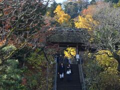 東慶寺へ

円覚寺から、踏切を渡ってすぐの東慶寺へ。