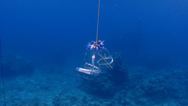 船からつるして<br />エントリーしたらこれを持っていざ深場へ