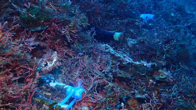 この場所で約3年間寝かせると<br />とってもまろやかな美味しい泡盛ができるとか<br />3年後が楽しみだ～